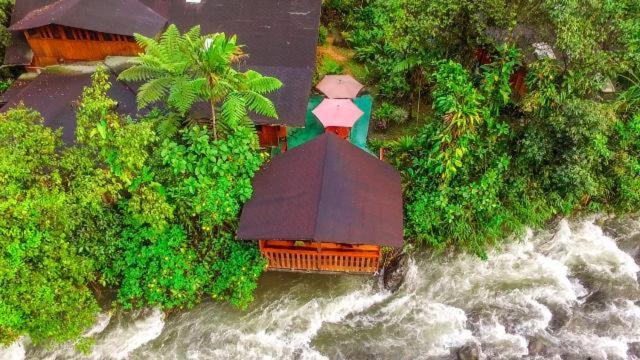 Mindo Garden Lodge And Wildlife Reserve Esterno foto