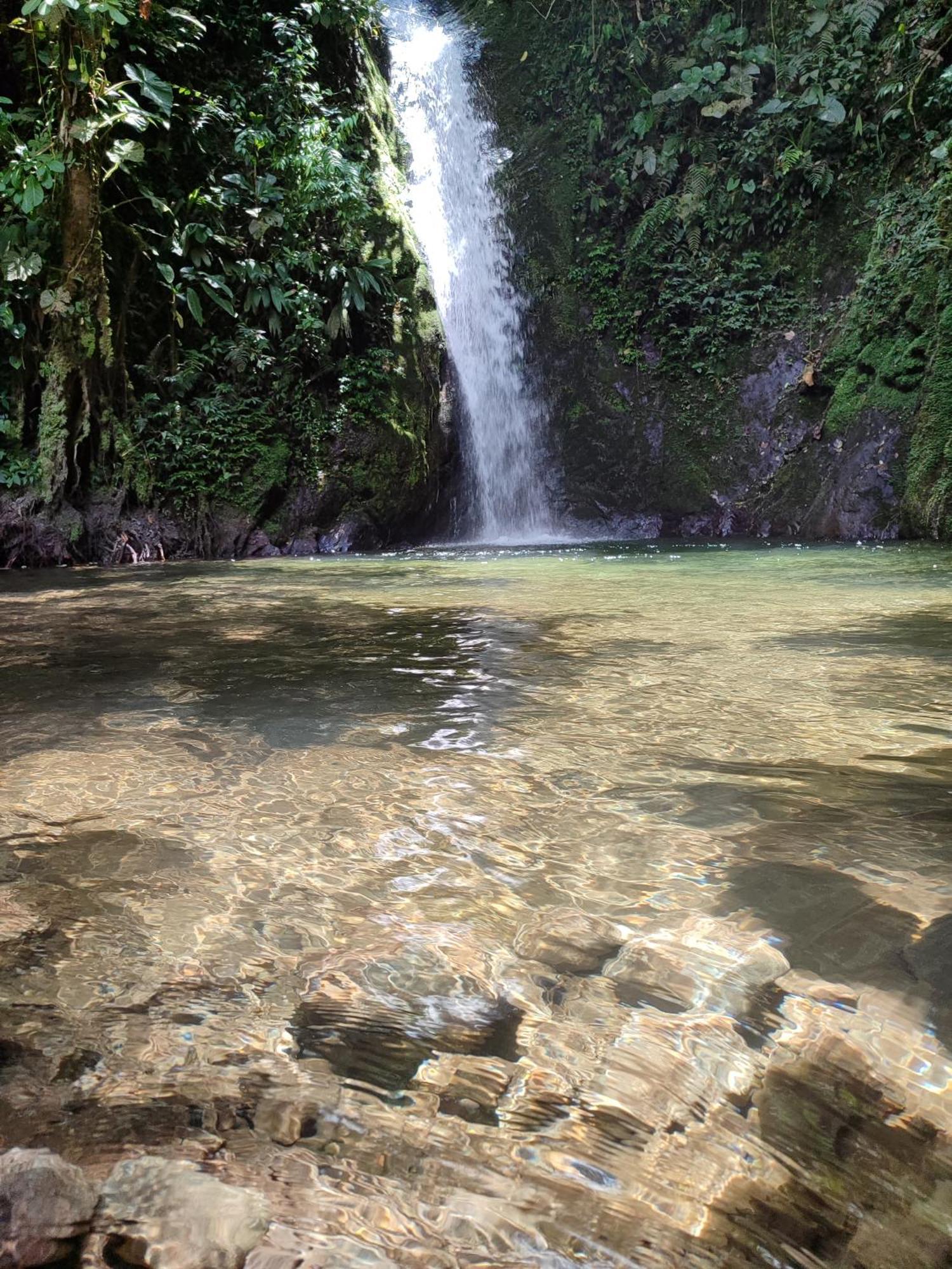 Mindo Garden Lodge And Wildlife Reserve Esterno foto