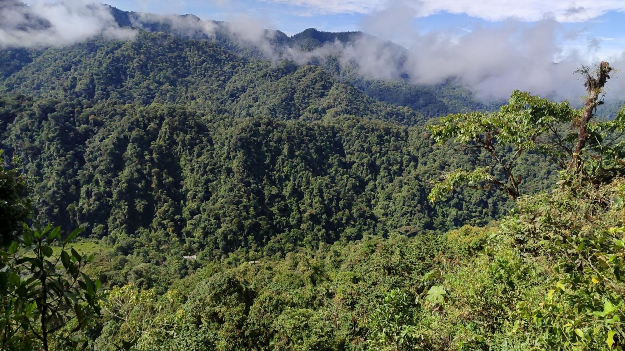 Mindo Garden Lodge And Wildlife Reserve Esterno foto