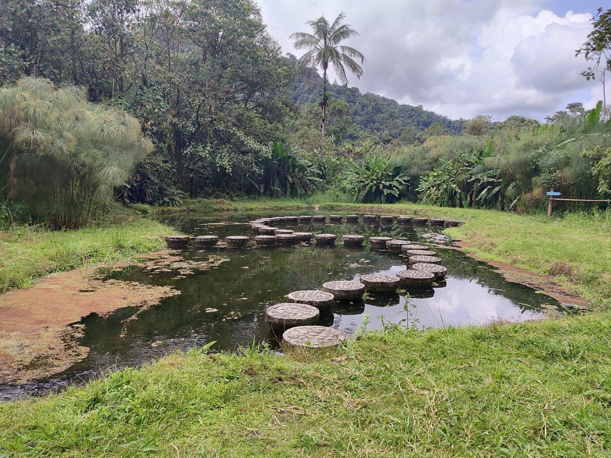 Mindo Garden Lodge And Wildlife Reserve Esterno foto