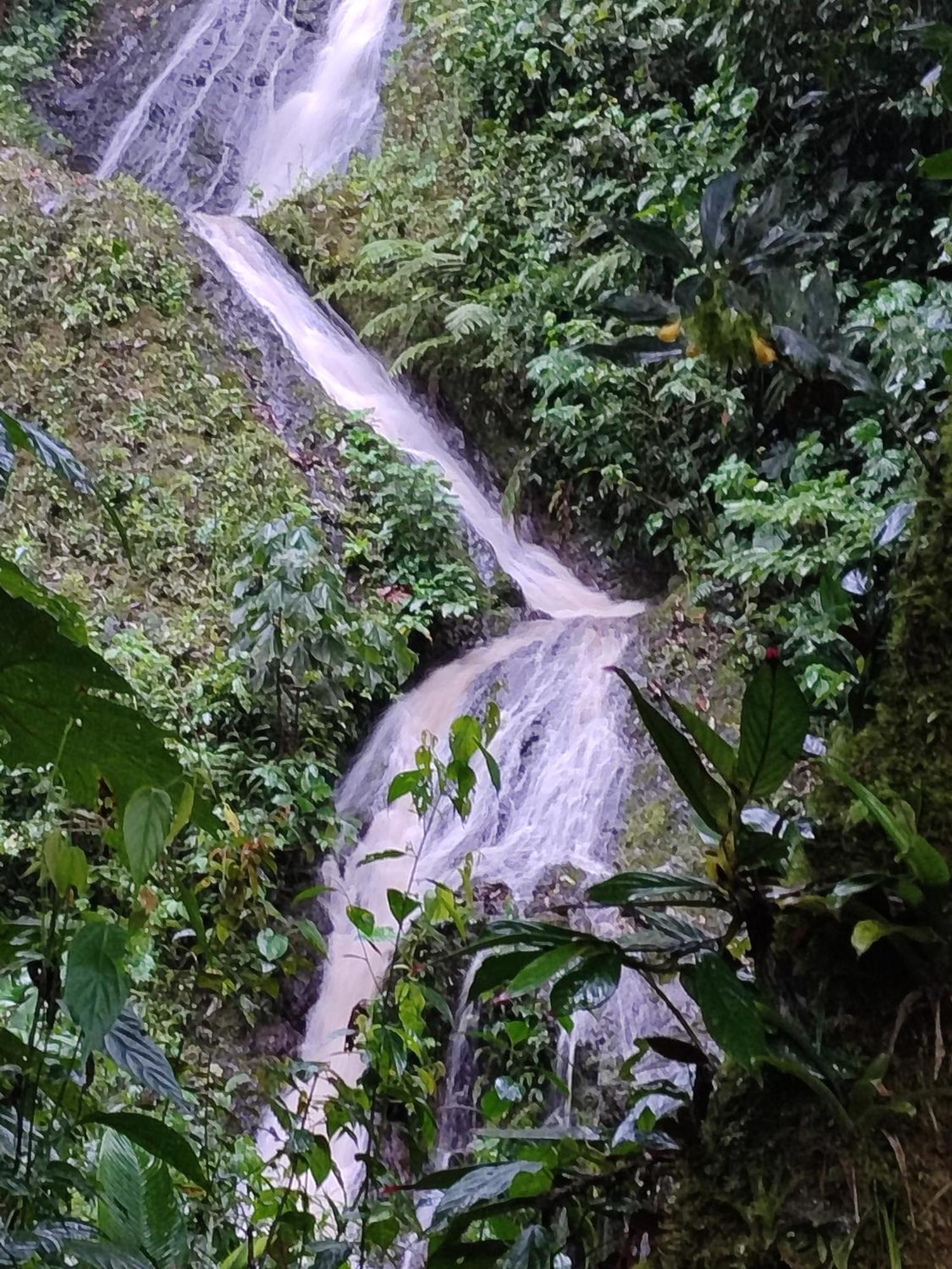 Mindo Garden Lodge And Wildlife Reserve Esterno foto