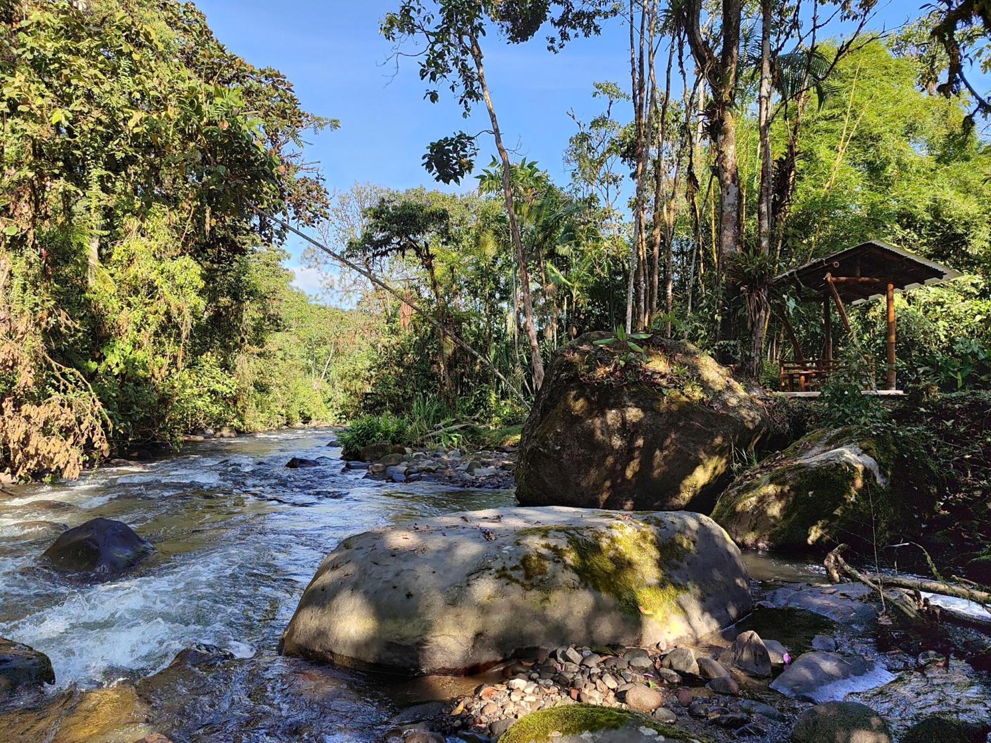Mindo Garden Lodge And Wildlife Reserve Esterno foto