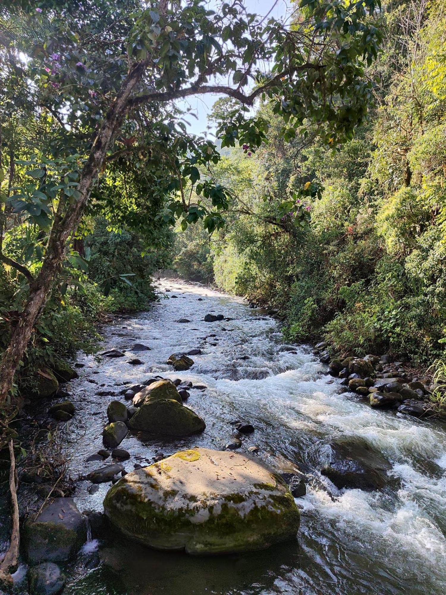 Mindo Garden Lodge And Wildlife Reserve Esterno foto