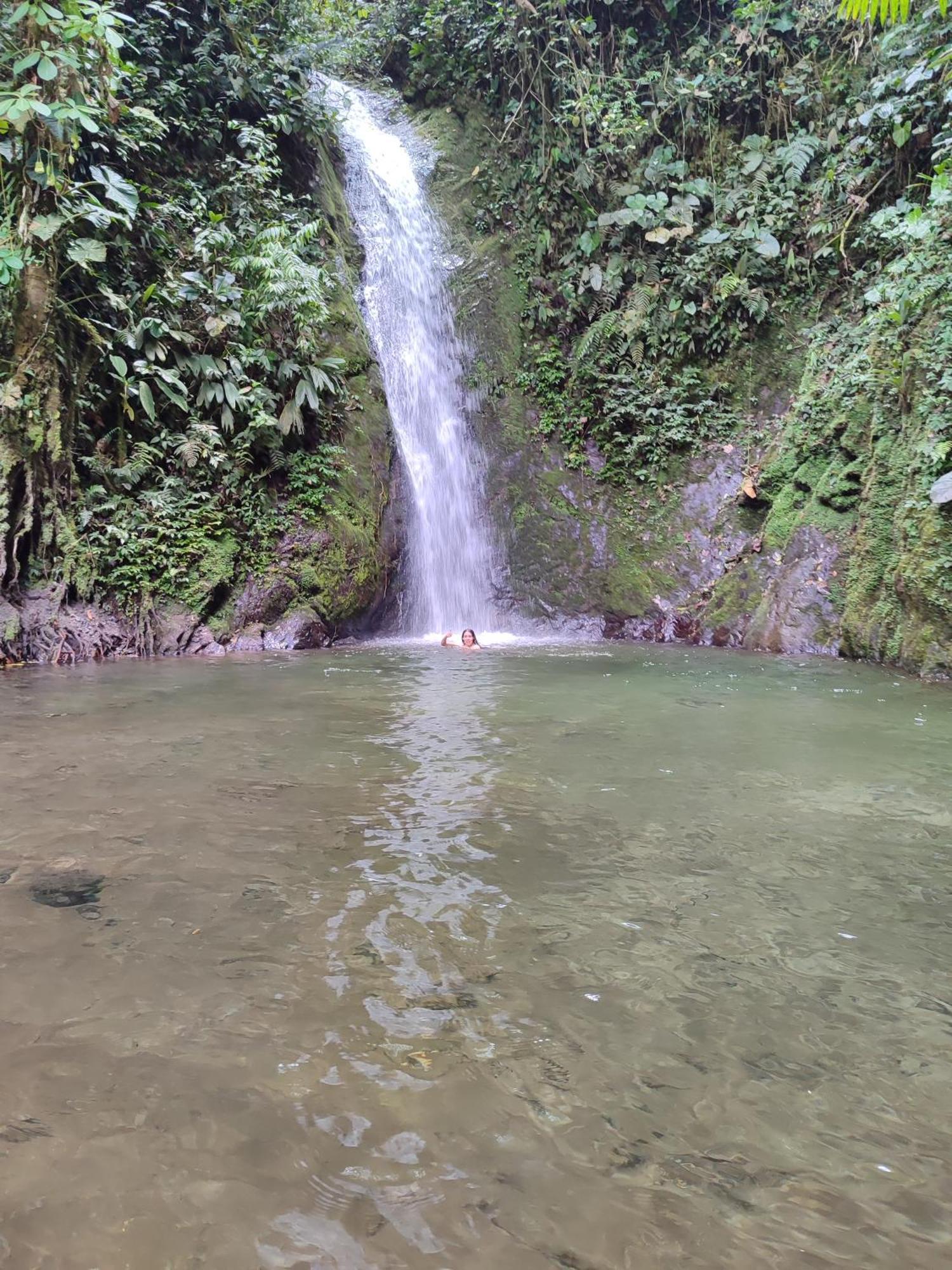 Mindo Garden Lodge And Wildlife Reserve Esterno foto