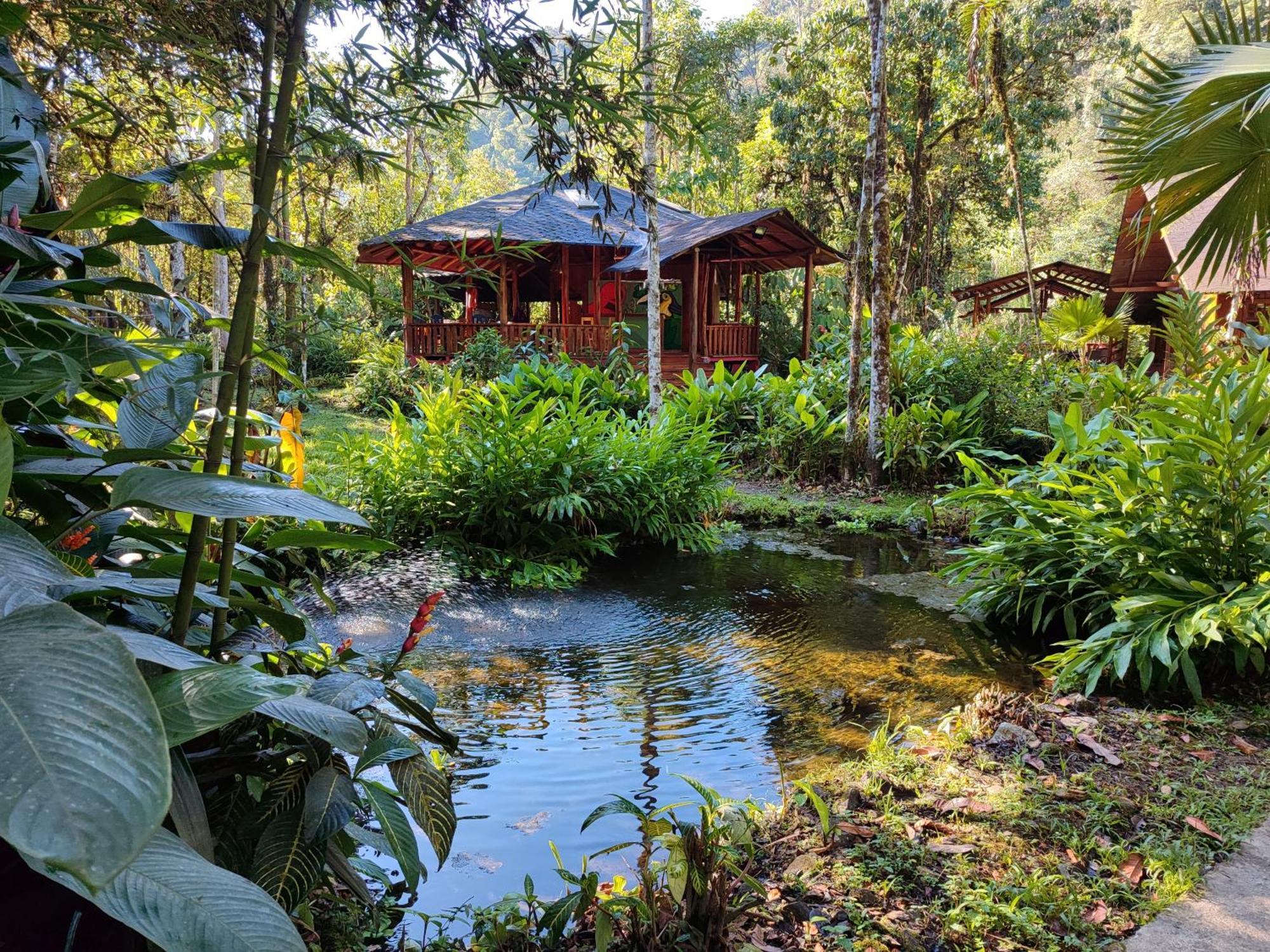 Mindo Garden Lodge And Wildlife Reserve Esterno foto