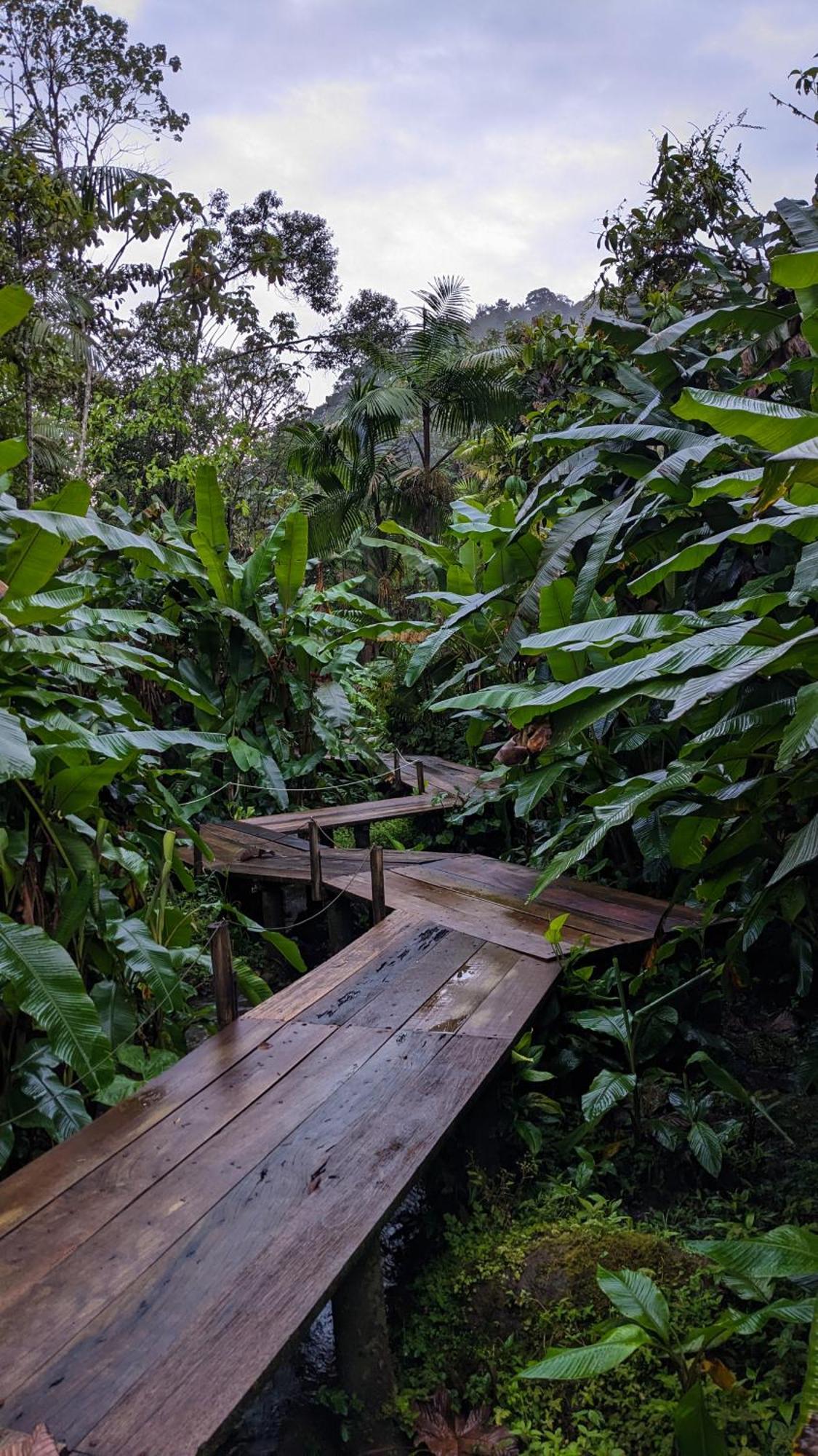 Mindo Garden Lodge And Wildlife Reserve Esterno foto