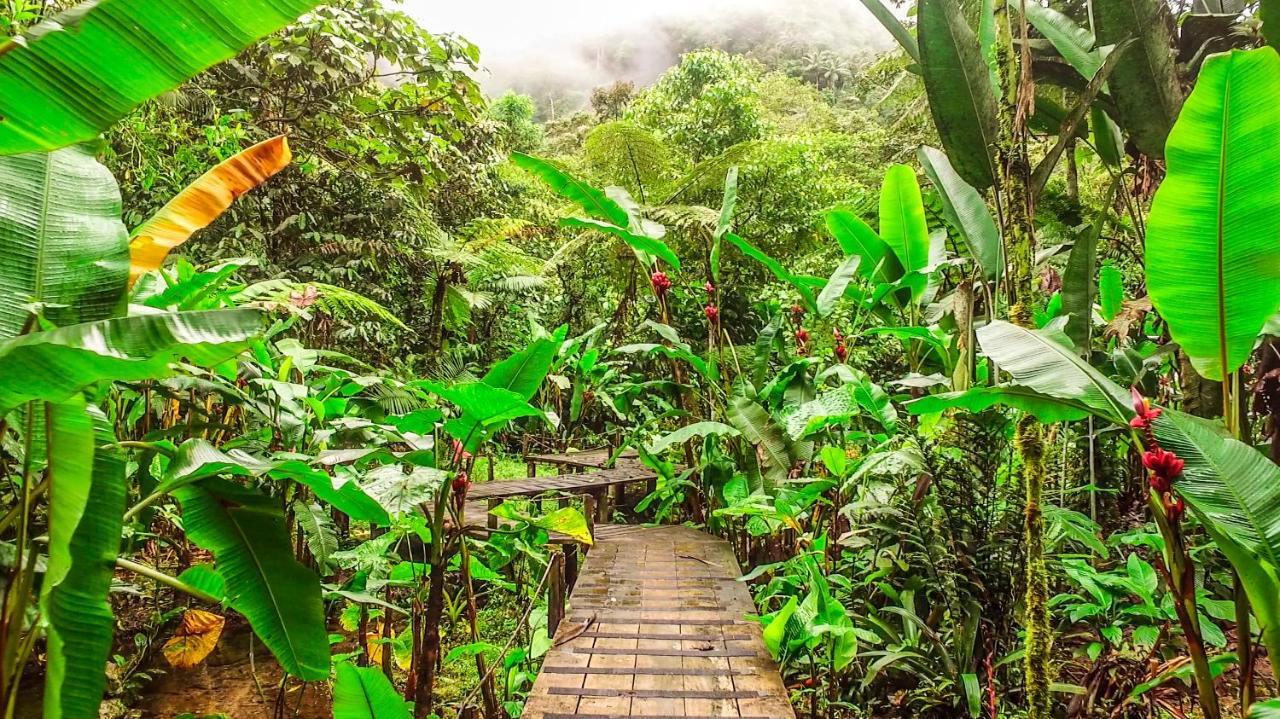 Mindo Garden Lodge And Wildlife Reserve Esterno foto